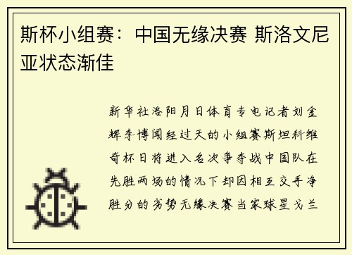 斯杯小组赛：中国无缘决赛 斯洛文尼亚状态渐佳